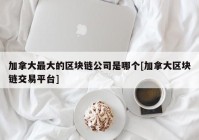 加拿大最大的区块链公司是哪个[加拿大区块链交易平台]